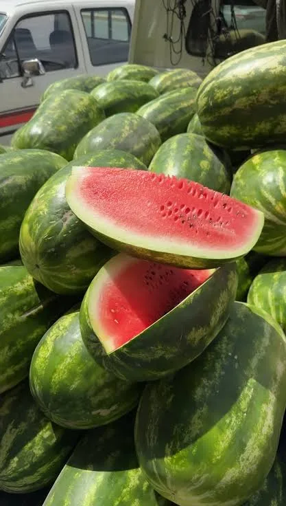 بطيخ أحمر سعودي طازج – حبحب ممتاز وعالي الجودة - صورة 4